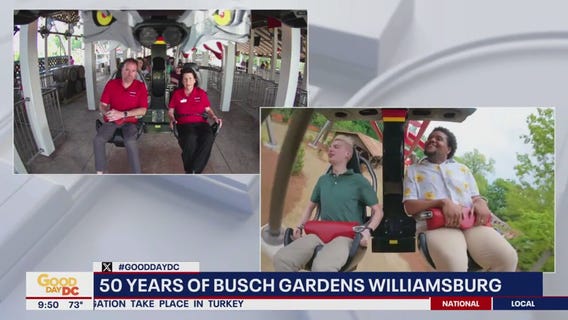 The Big Bad Wolf: The Wolf's Revenge