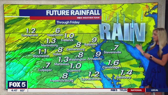 Rainy midweek in DC before sunny Memorial Day weekend