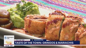 Taste of the Town: Gringos and Mariachis