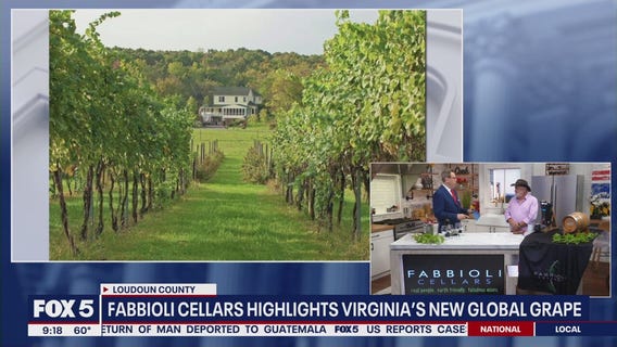 Celebrating National Wine Day with Fabbioli Cellars