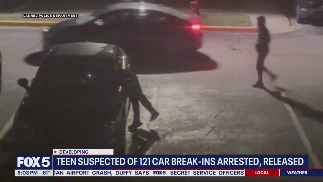 Teen suspected in at least 120 car break-ins arrested | FOX 5 DC
