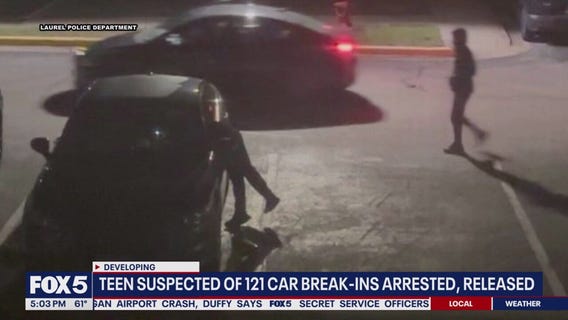 Teen suspected in at least 120 car break-ins arrested