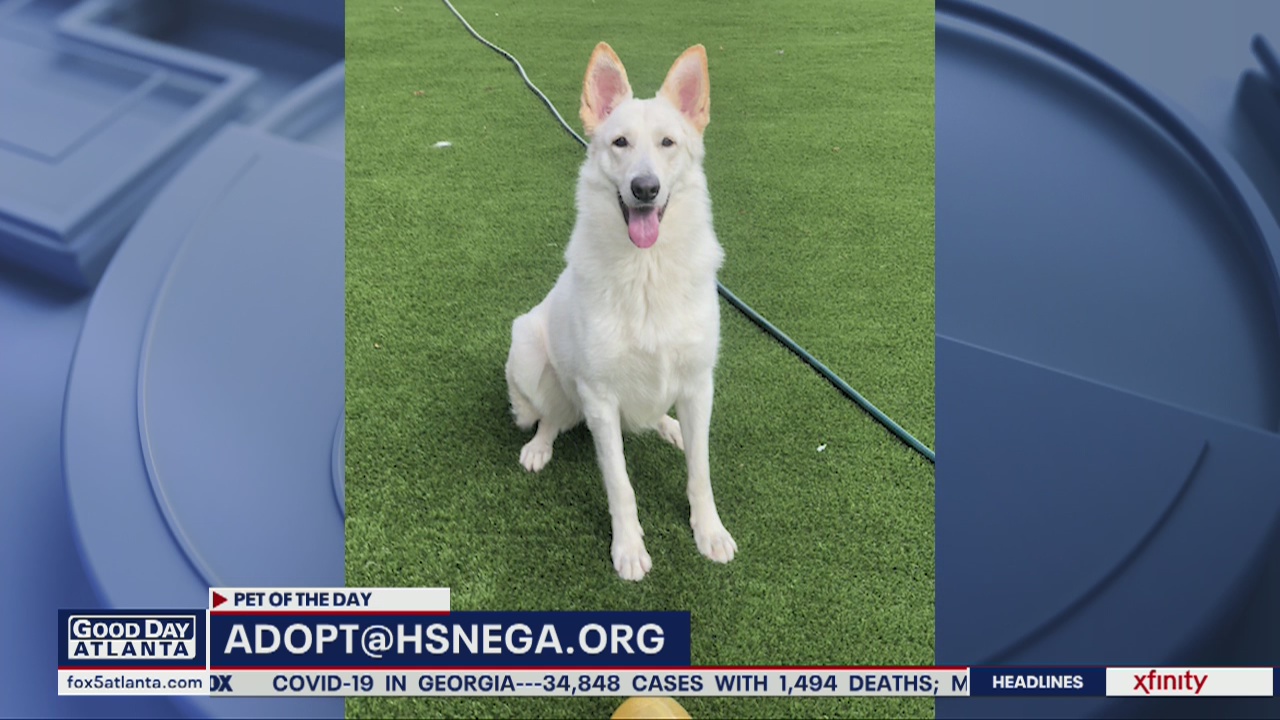 Pet of the Day: May 13, 2020