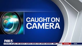 Caught on Camera: Craziest traffic moments across the country