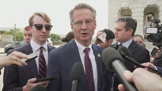 Members of Congress react to Elon Musk and Donald Trump feud