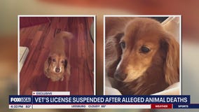 Veterinarian under investigation after alleged animal deaths