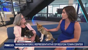 Petpalooza this weekend in Reston!