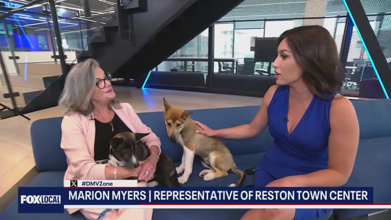 Petpalooza this weekend in Reston!