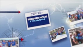 Forever home Friday 6/13