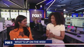 Summer solstice celebrations