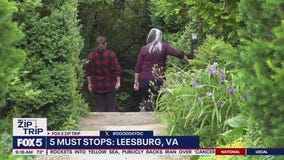 Zip Trip to Leesburg: 5 Must Stops