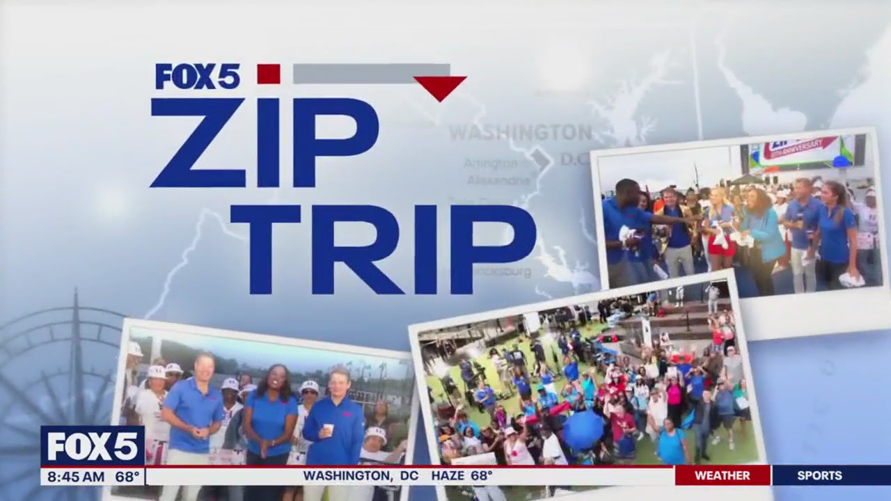 Exploring Alexandria