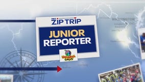 Junior Reporter