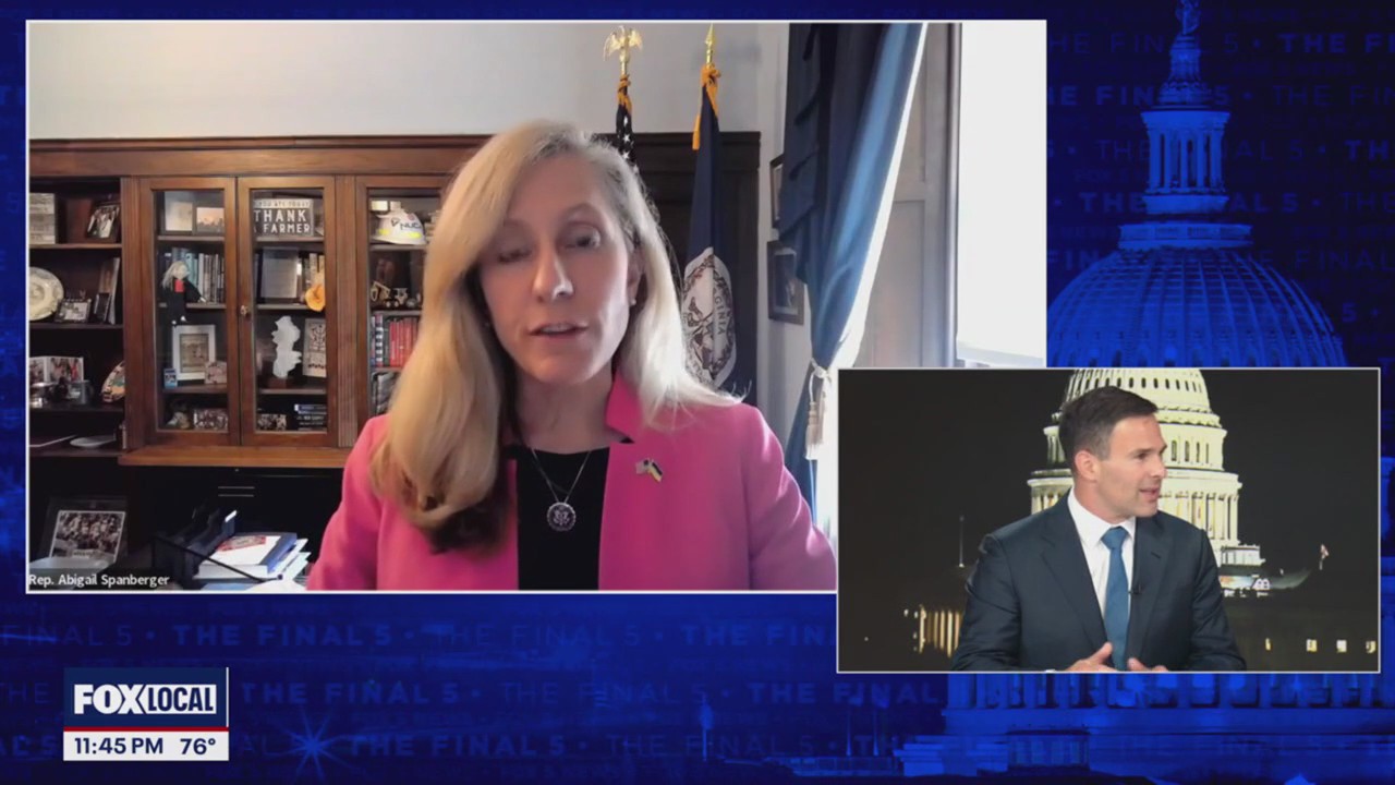 VA Democrats say they're energized to fight Trump, Musk policies and lower costs