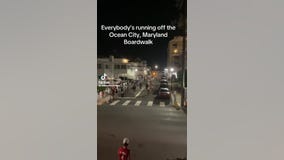 Confusion in OCMD after fireworks shot into crowd