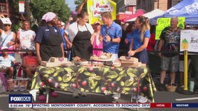 7/1 Taste of Occoquan: The Golden Plum