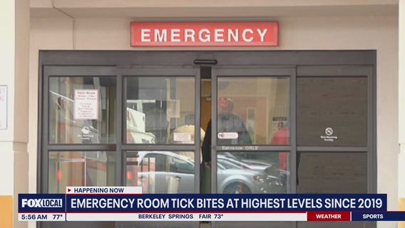 Emergency room tick bites at highest level since 2019