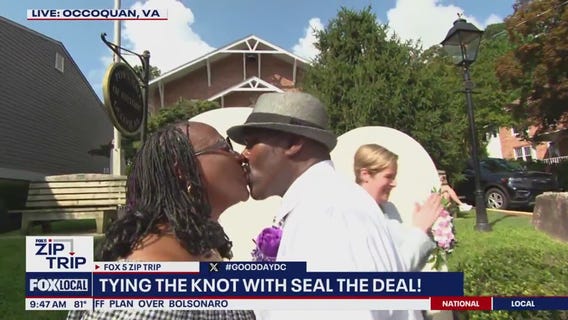 Seal the Deal: Tying the Knot in Occoquan!