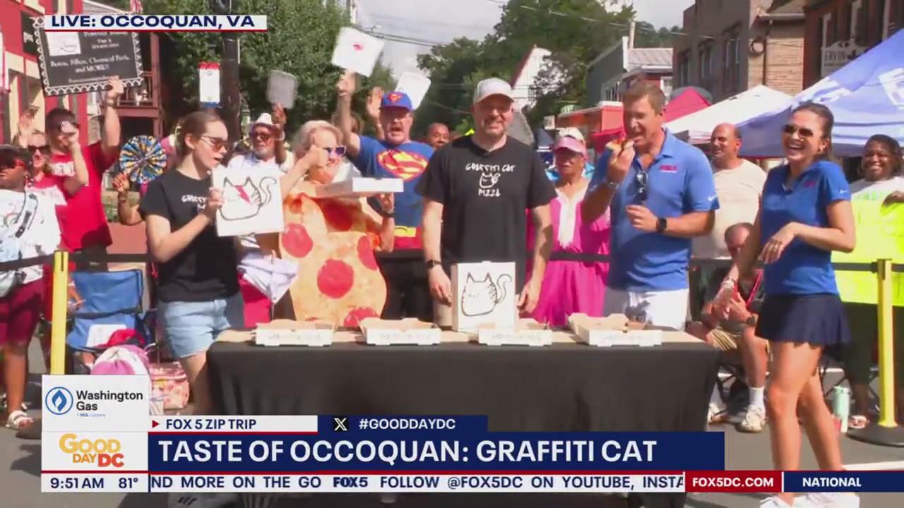 7/11 Taste of Occoquan: Graffiti Cat