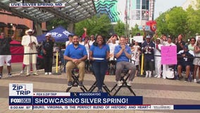 Welcome to Silver Spring!