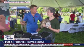 Forever Home Friday: Possum-bilities