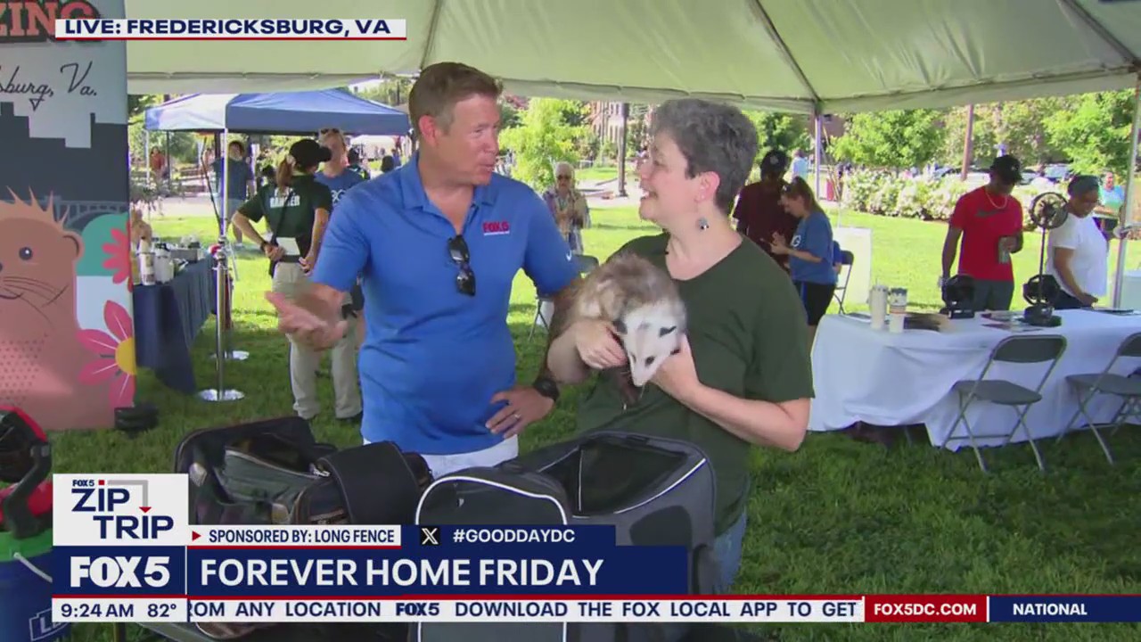 Forever Home Friday: Possum-bilities