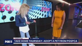 Take Home Thursday: Meet Minnie!