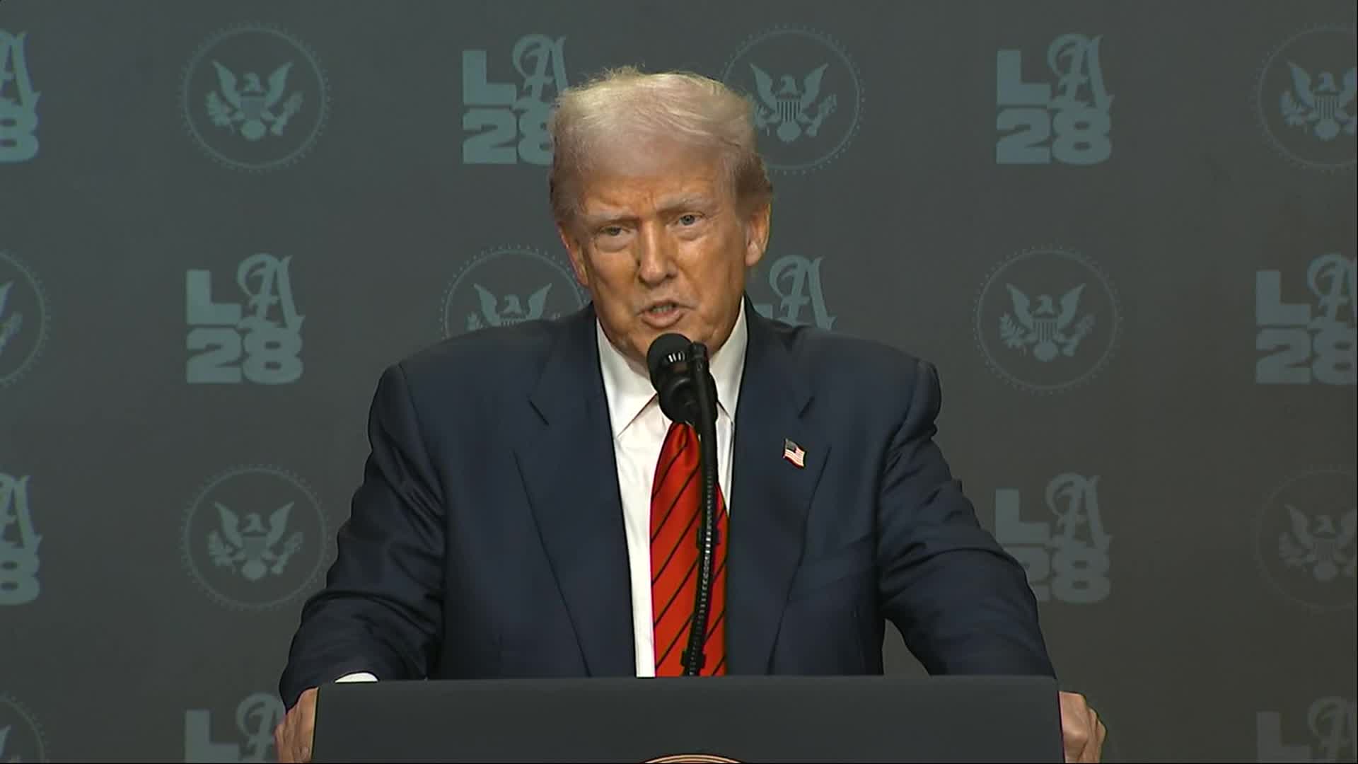 Trump says DOGE employee 'beat up by a bunch of thugs in DC'