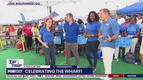 Zip Trip to The Wharf: The Final Hour