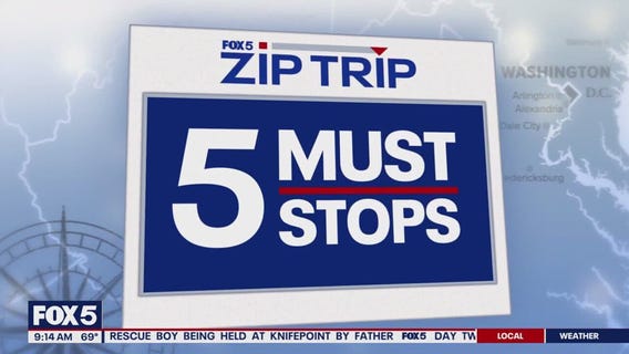 Zip Trip to The Wharf: 5 Must Stops
