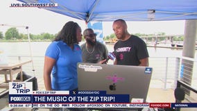 Zip Trip to The Wharf: The music of the Zip Trip