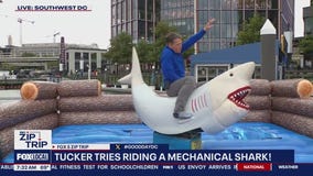 Zip Trip to The Wharf: Tucker Tries It!