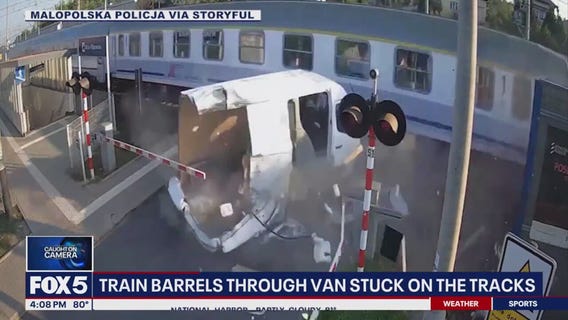 Caught on Camera: Crazy car accidents and thieving Raccoons