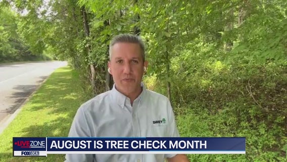 Spotted Lantern Flies continue to fascinate as they takeover MD