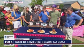 Zip Trip to Stafford: Taste of 6 Bears & A Goat