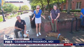 Zip Trip to Frederick: Forever Home Friday