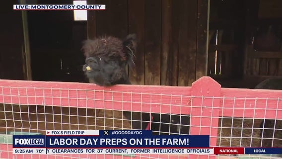 Labor Day on the farm!