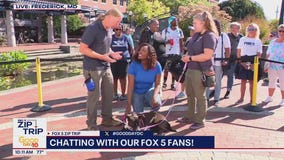 Zip Trip to Frederick: Meeting Harley