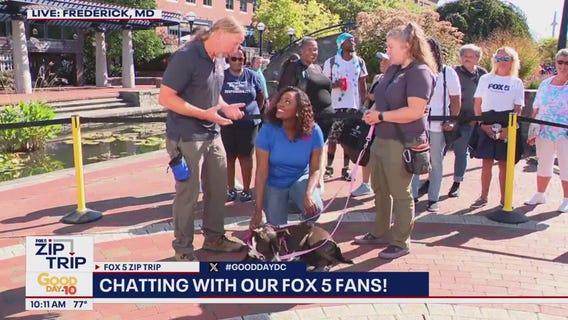 Zip Trip to Frederick: Meeting Harley