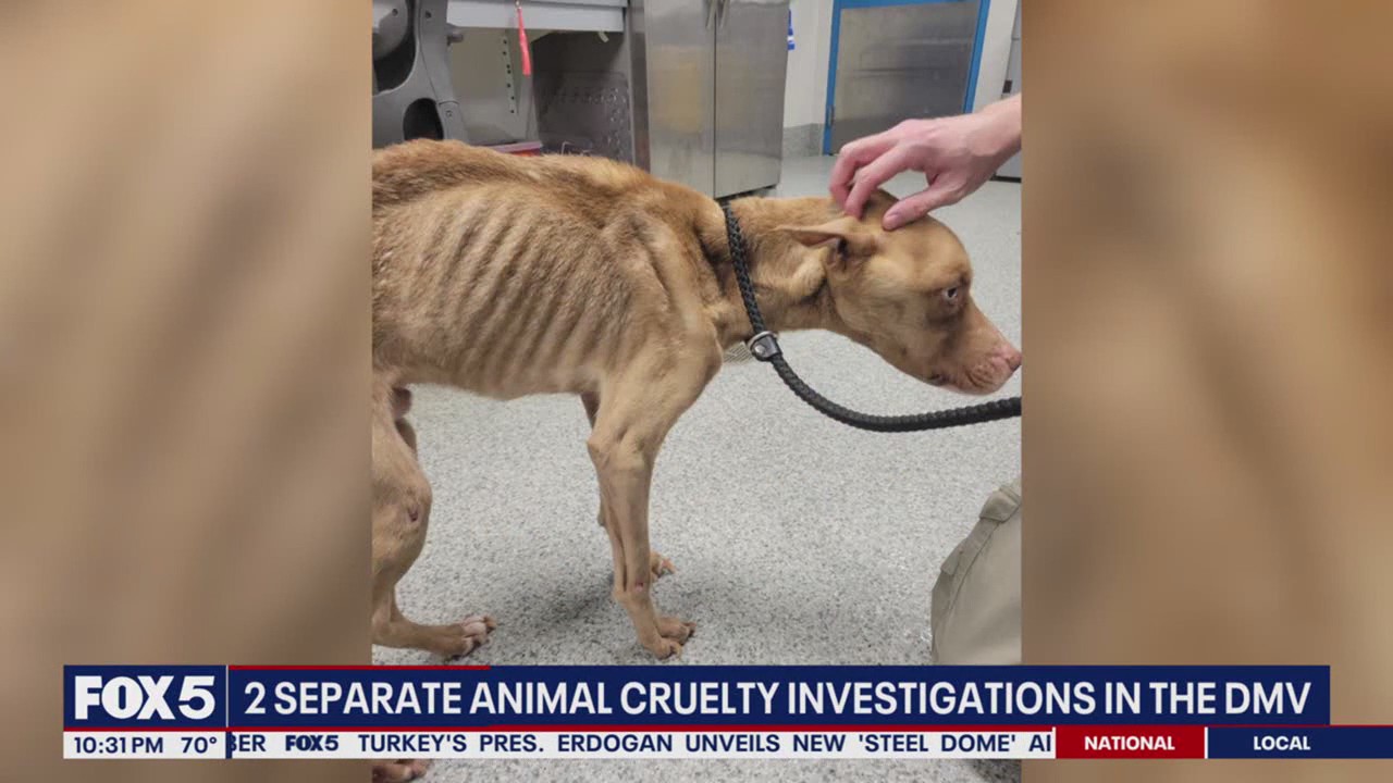 2 separate animal cruelty cases under investigation in DMV | FOX 5 DC
