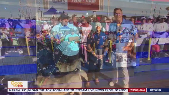 Zip Trip to National Harbor: Forever Home Friday