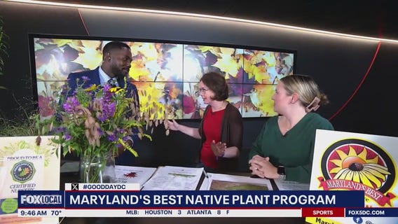 Maryland's best native plants