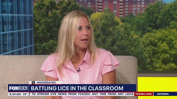 Back to school head lice