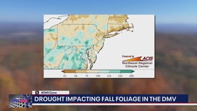 DC weather: When can we expect to see fall foliage?