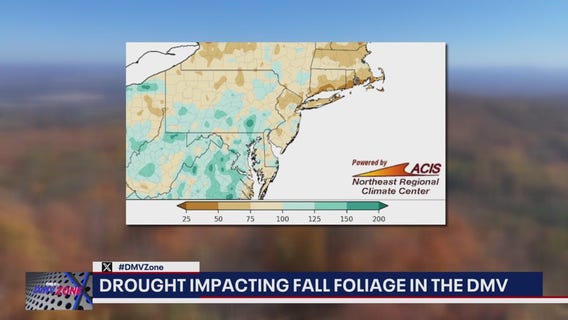 DC weather: When can we expect to see fall foliage?