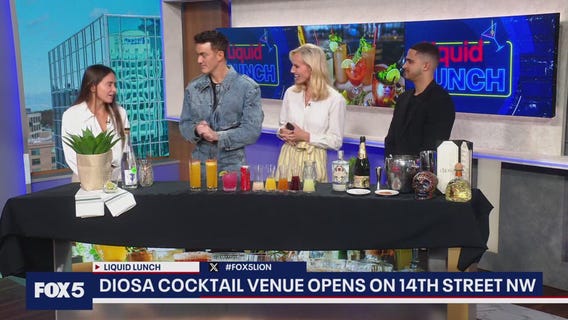 Liquid Lunch : Diosa Cocktail Venue