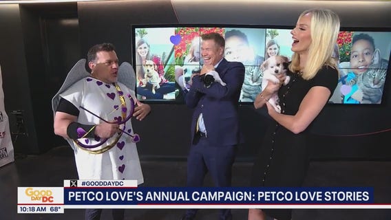 Petco Love's annual campaign: Petco Love Stories