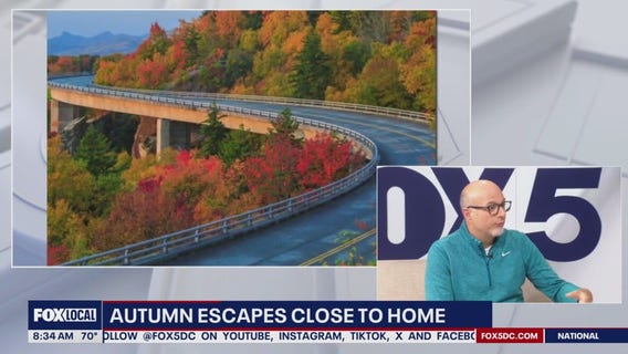 Travel Expert Shares the Top Fall Getaways Near the DC Region