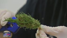 New Maryland laws start October 1