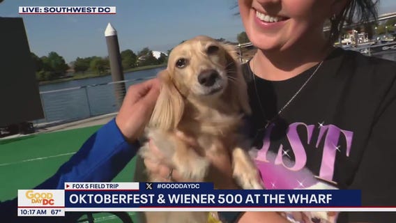 Oktoberfest & Wiener 500 at The Wharf